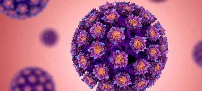 HPV - Papillomavirus umano